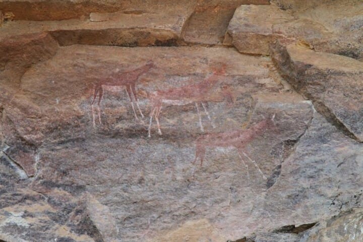 Bushman Paintings
