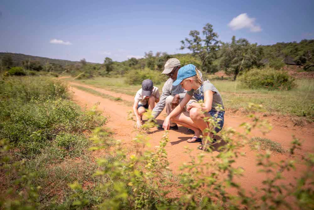 Ekuthuleni Lodge gallery image 6