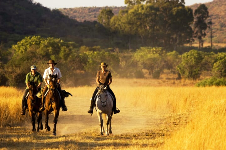 Horseback Safaris