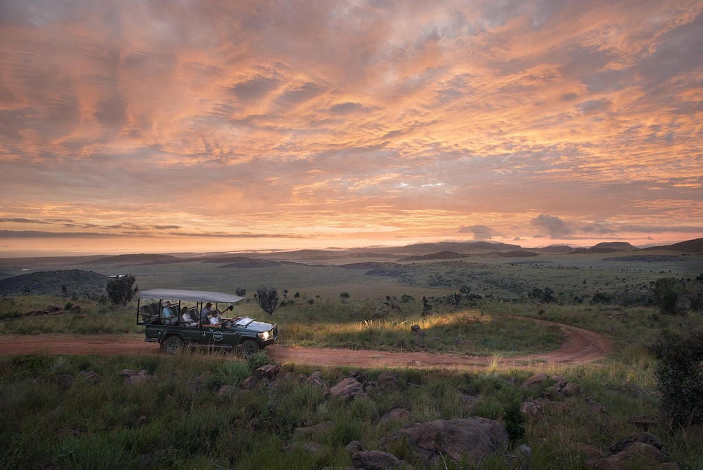 4 Day Safari