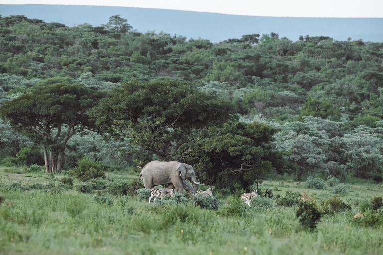 Shawu's Hide accommodation