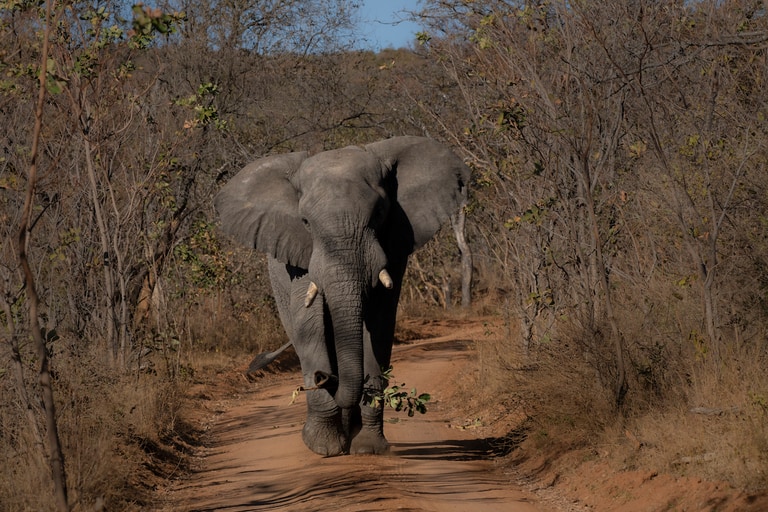 Thaba Metsi Private Game Lodge activities