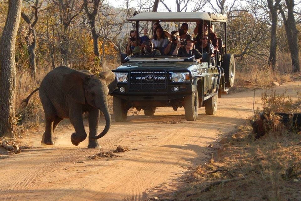 3 Day Safari