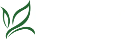Biggestleaf Travel — Welgevonden Travel Experts
