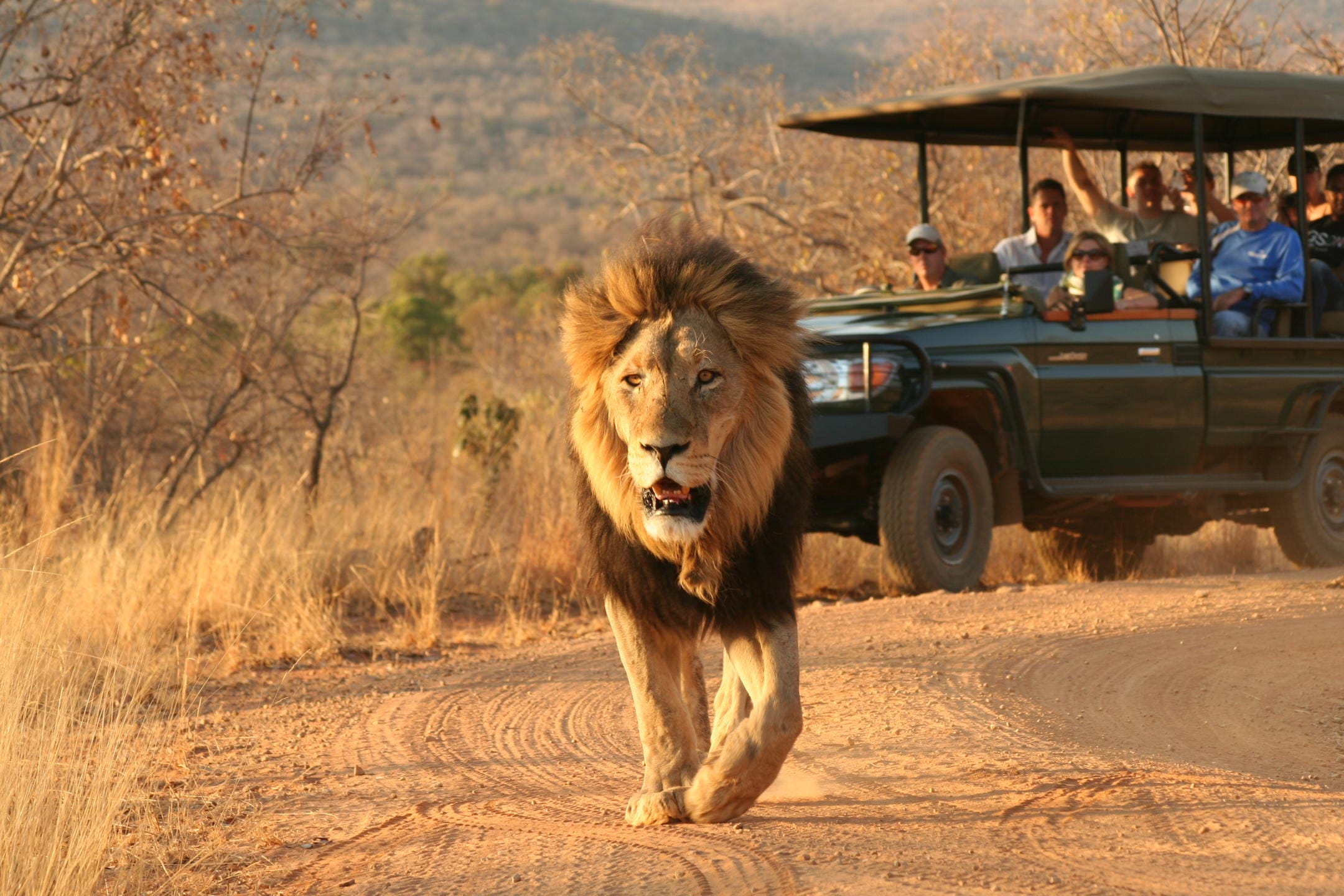 5 Day Safari