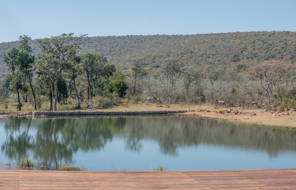 jsC-iLangaLodge2024 -184