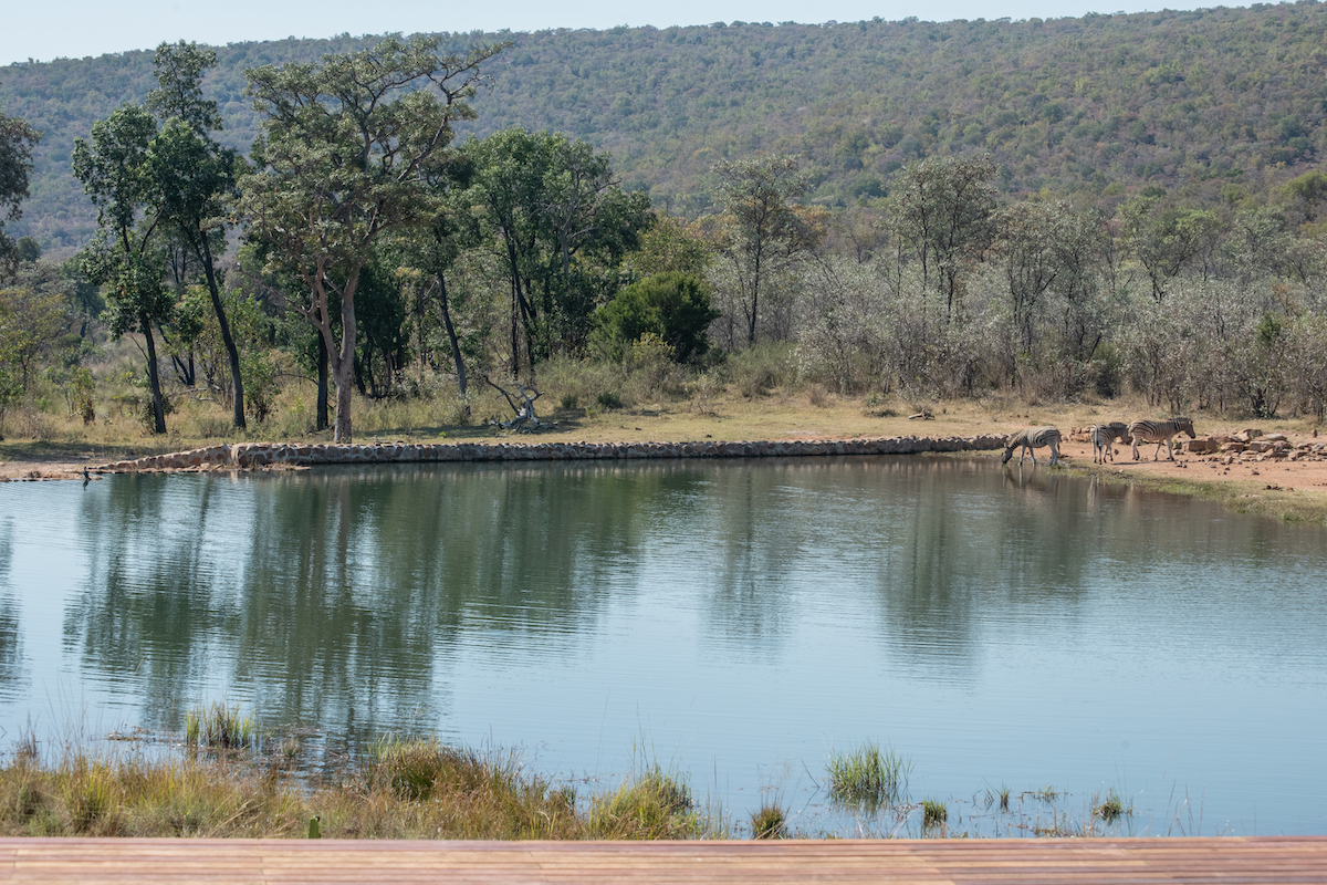 jsC-iLangaLodge2024 -286