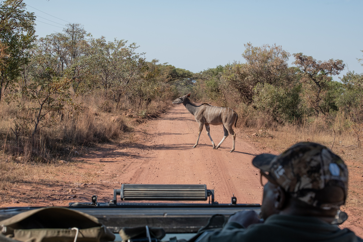 jsC-iLangaLodge2024 -295